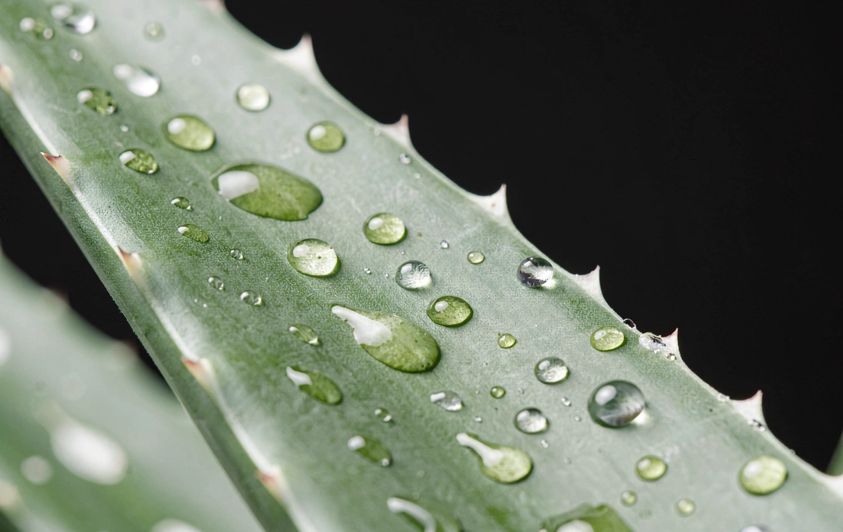 Naturalne podejście